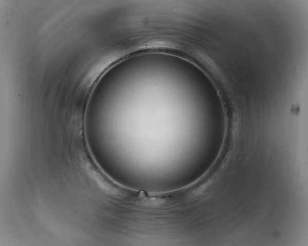 X0000112031321200908031427