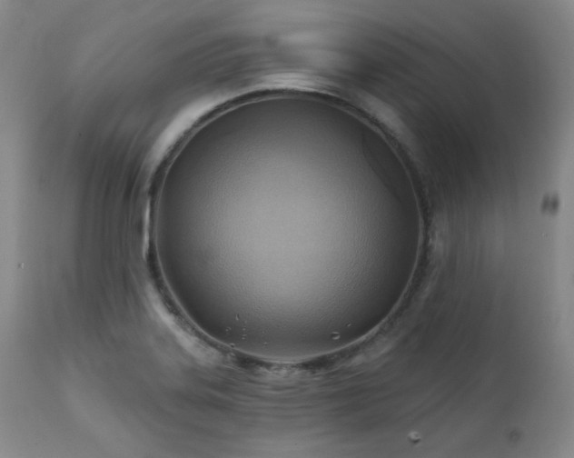 X0000112031323200908031427