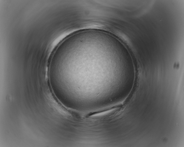 X0000112031324200908031427