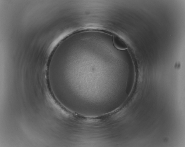 X0000112031325200908031427