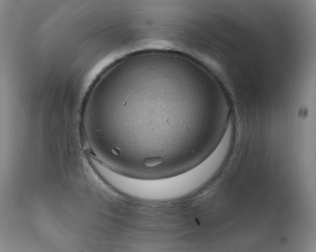 X0000112031326200908031427