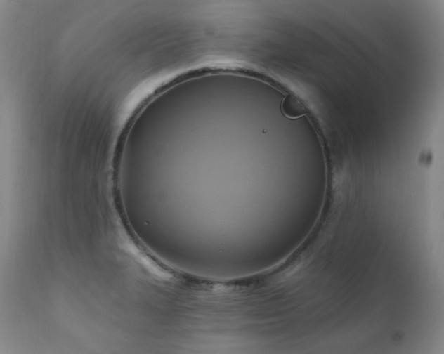 X0000112031327200908031427