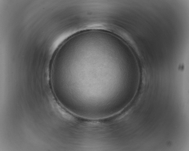X0000112031328200908031427