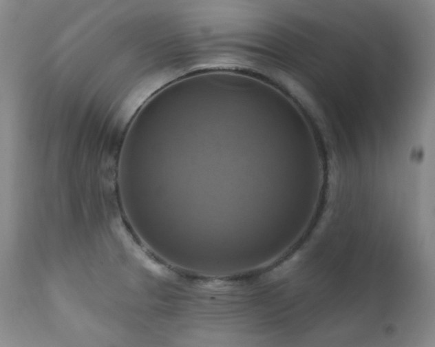 X0000112031329200908031427