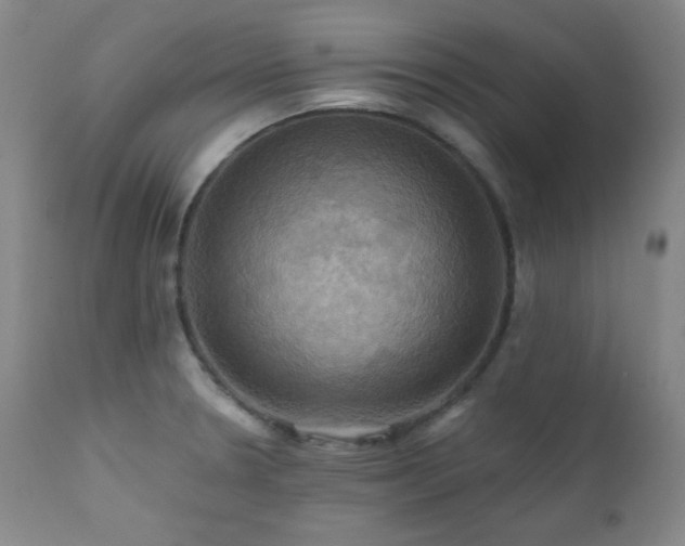 X0000112031330200908031427