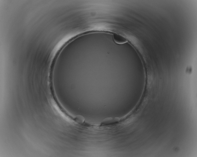 X0000112031331200908031427