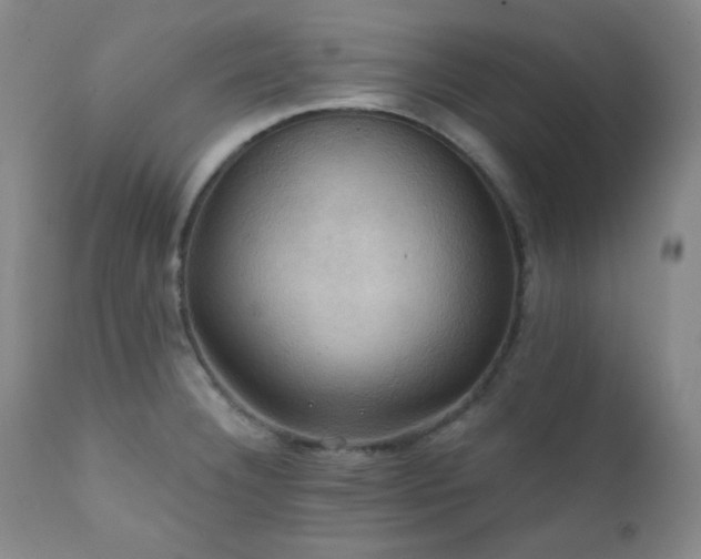X0000112031332200908031427