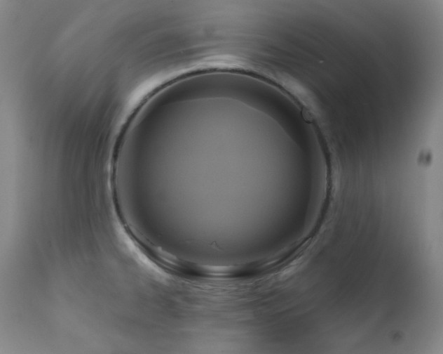 X0000112031334200908031427