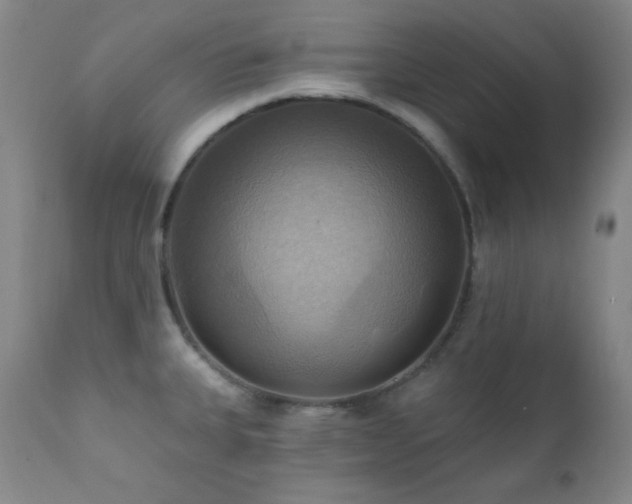 X0000112031335200908031427