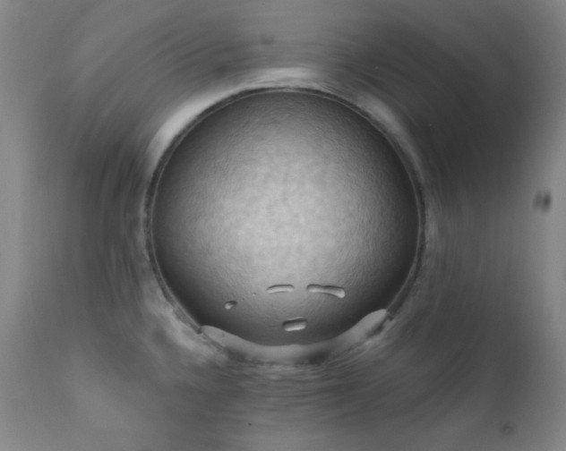 X0000112031336200908031427