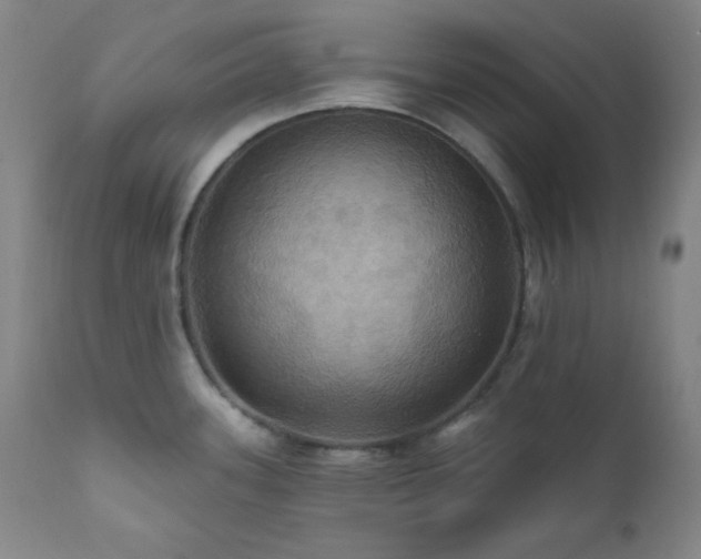 X0000112031339200908031427