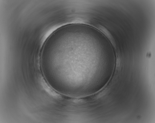 X0000112031340200908031427
