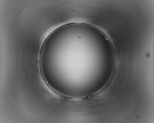 X0000112031343200908031427