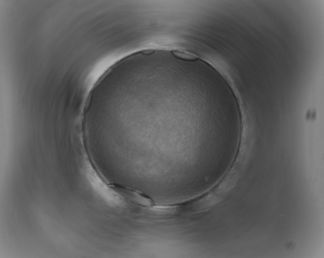 X0000112031344200908031427