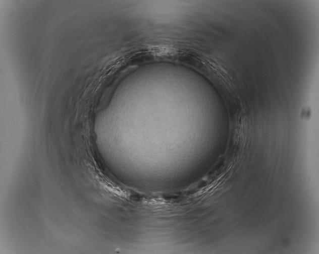 X0000112031345200908031426