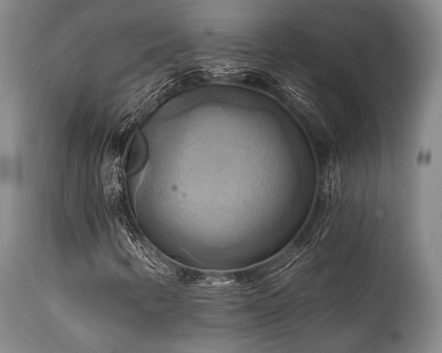 X0000112031346200908031426