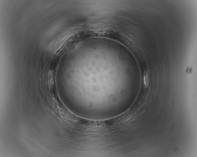 X0000112031347200908031426