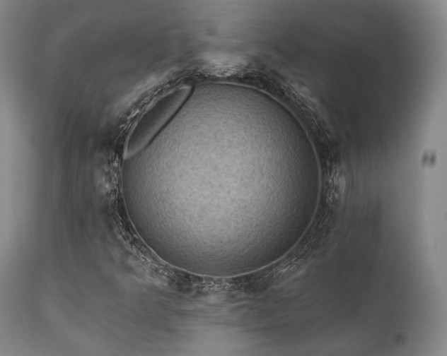 X0000112031349200908031426