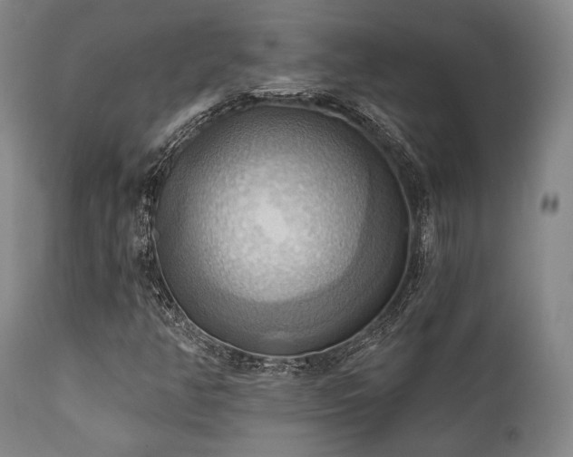 X0000112031350200908031426