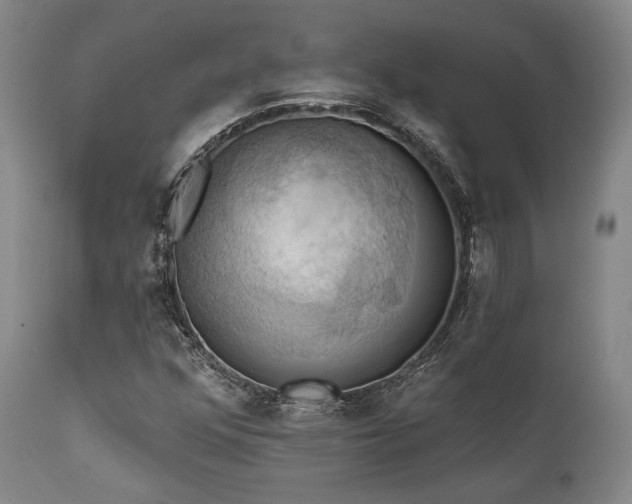 X0000112031352200908031426