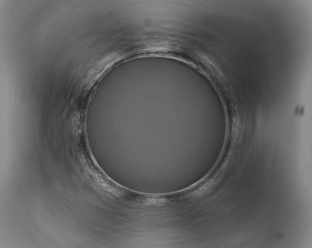 X0000112031353200908031426