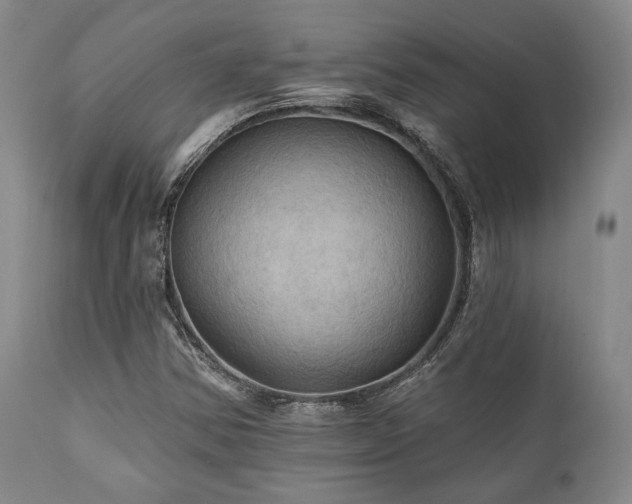 X0000112031354200908031426
