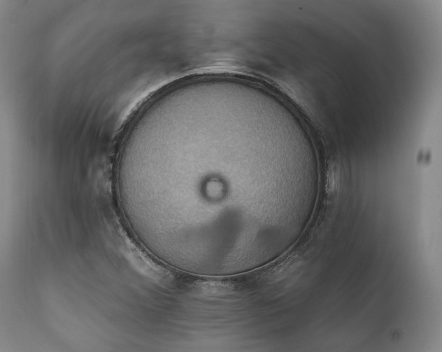 X0000112031356200908031426