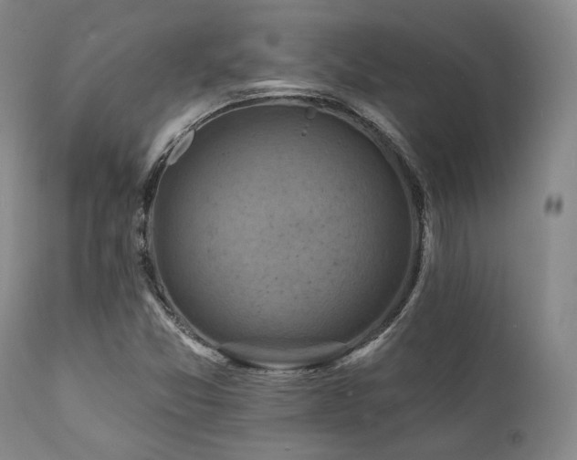 X0000112031357200908031426