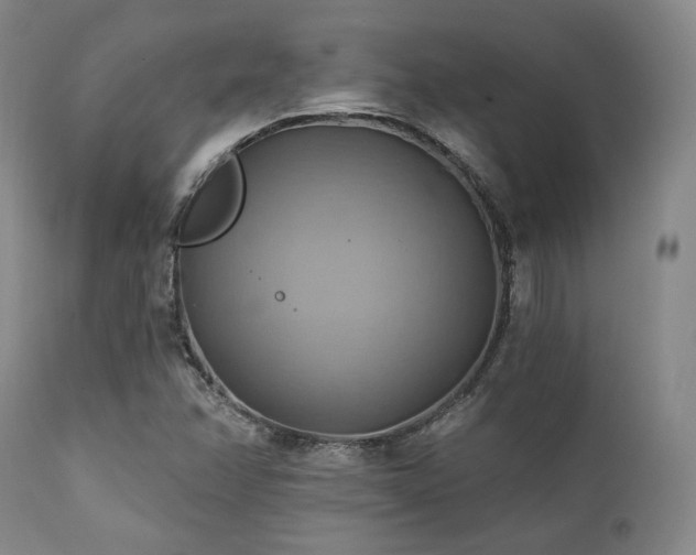 X0000112031358200908031426