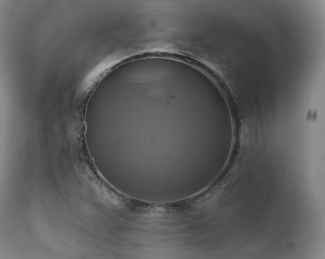 X0000112031359200908031426