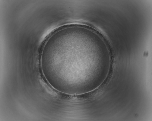 X0000112031360200908031426