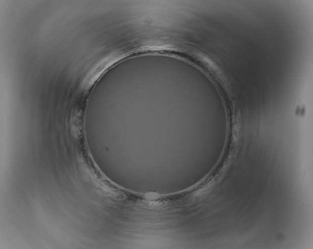 X0000112031361200908031426