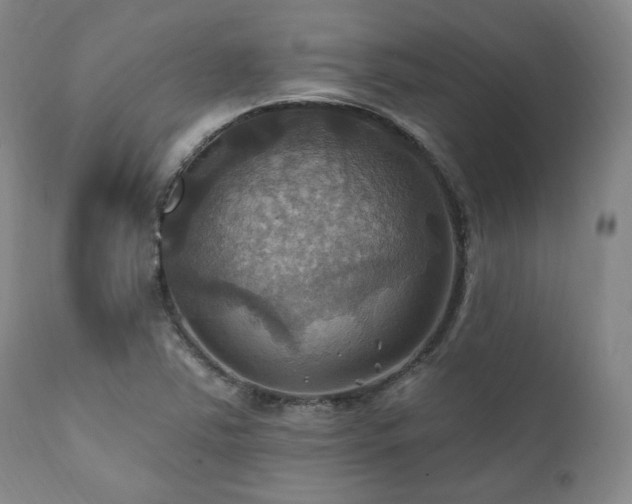 X0000112031363200908031426