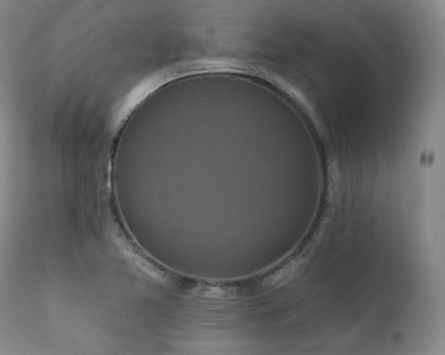 X0000112031365200908031426