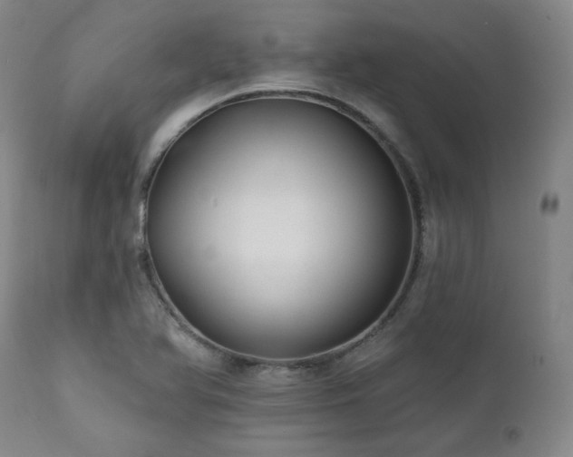 X0000112031366200908031426