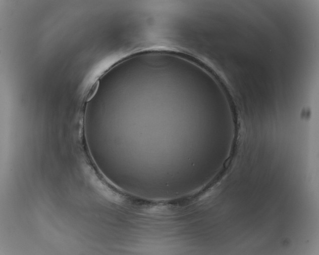 X0000112031367200908031426