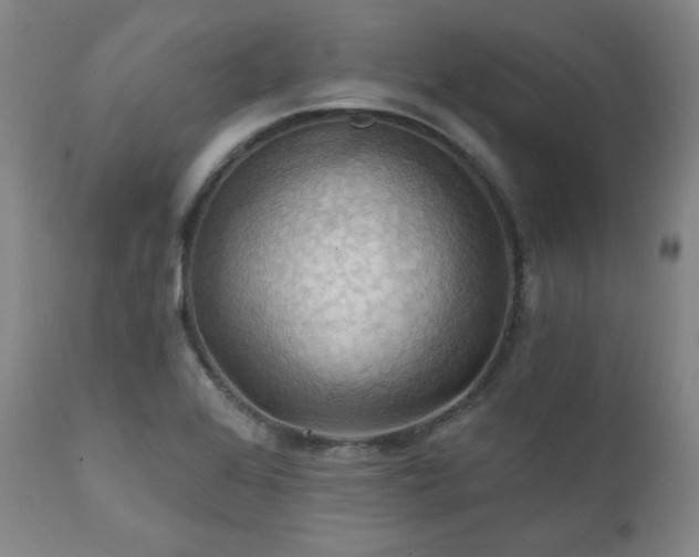 X0000112031368200908031426
