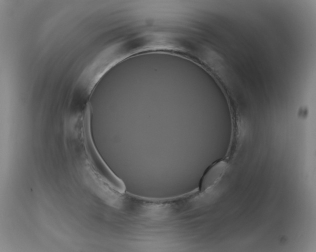 X0000112031369200908031426