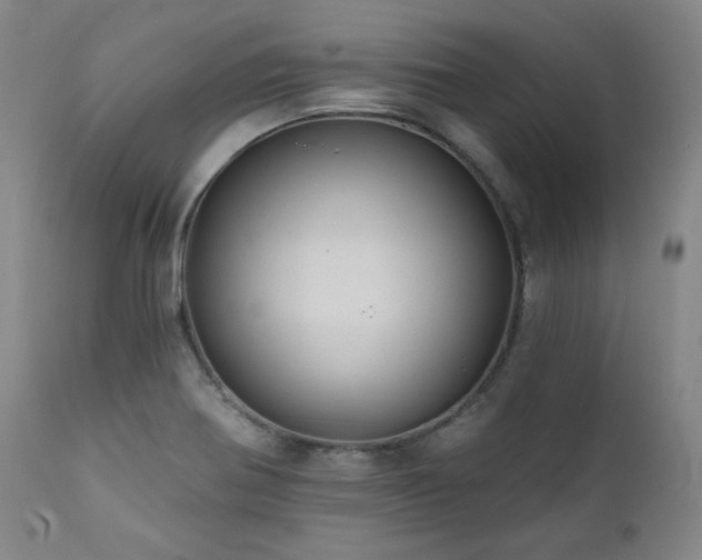 X0000112031370200908031426