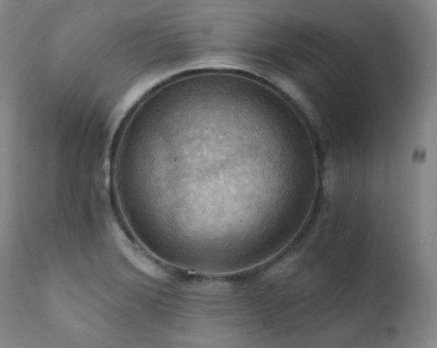 X0000112031372200908031426