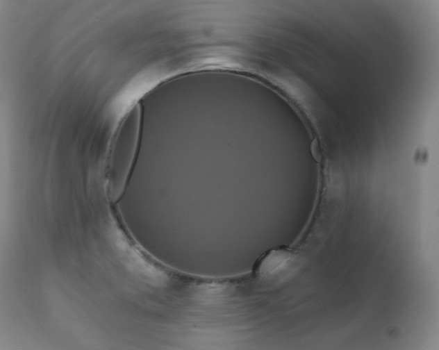 X0000112031373200908031426