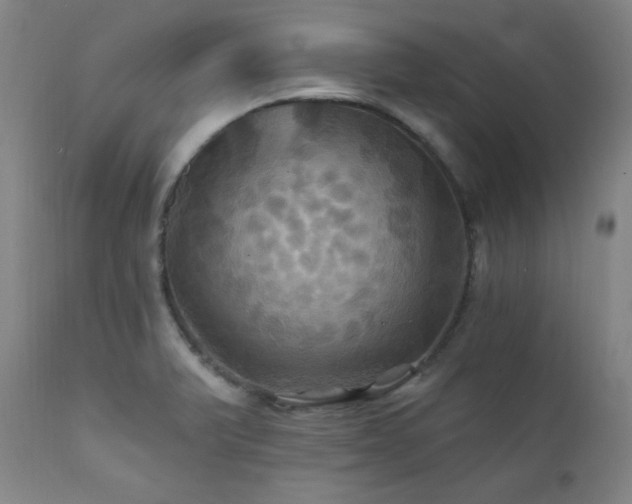 X0000112031375200908031426