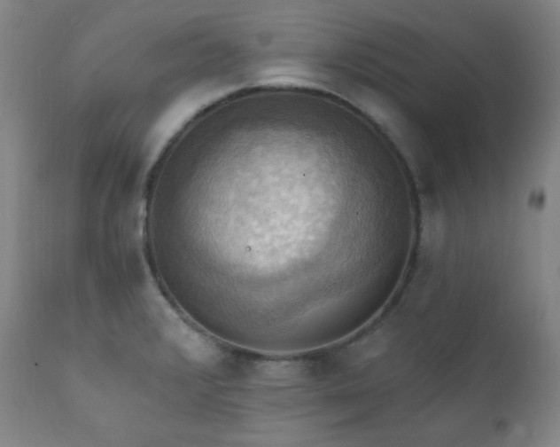 X0000112031376200908031426