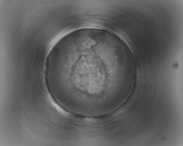 X0000112031379200908031425