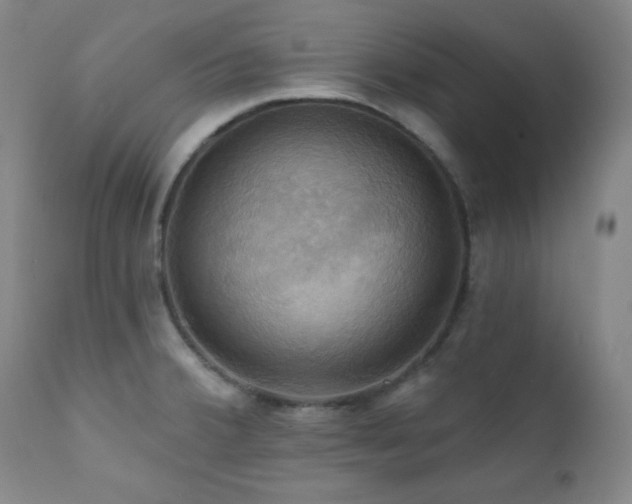 X0000112031380200908031425