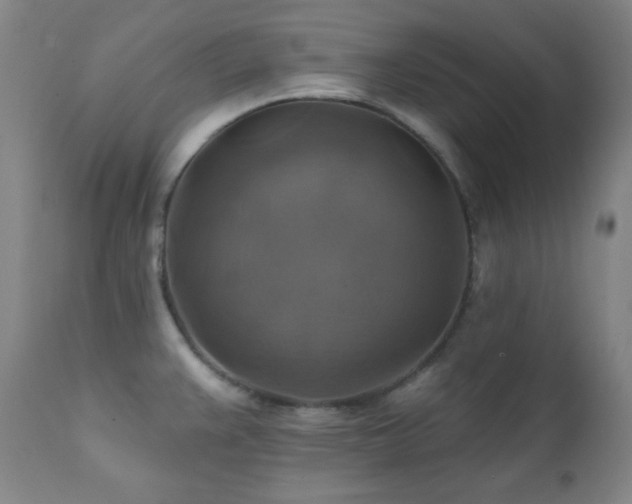 X0000112031383200908031425