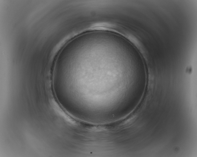 X0000112031384200908031425