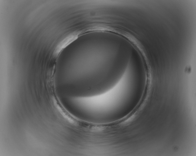 X0000112031385200908031425
