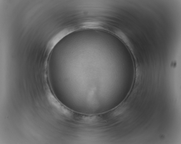 X0000112031386200908031425
