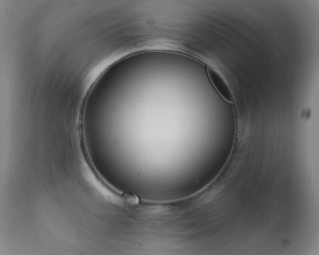 X0000112031387200908031425